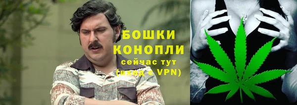 хмурый Мегион