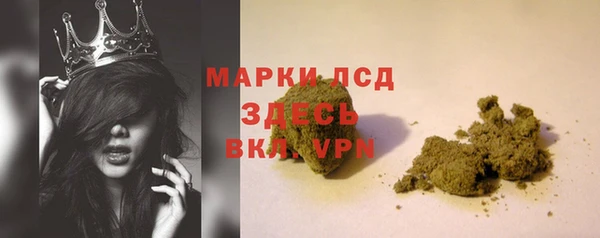 PSILOCYBIN Медвежьегорск