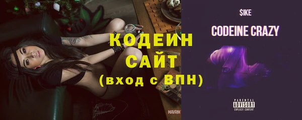 хмурый Мегион