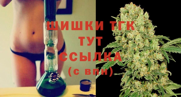 PSILOCYBIN Медвежьегорск