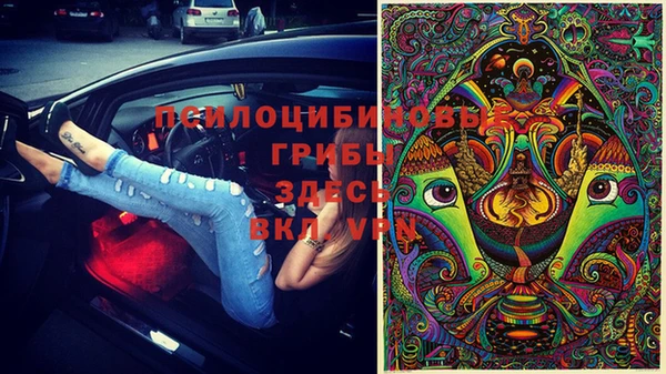 PSILOCYBIN Медвежьегорск