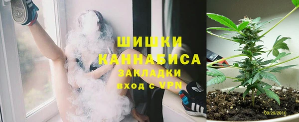 хмурый Мегион