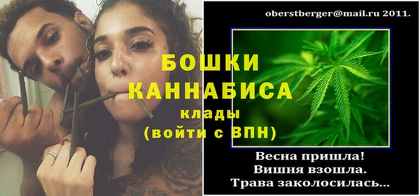 хмурый Мегион