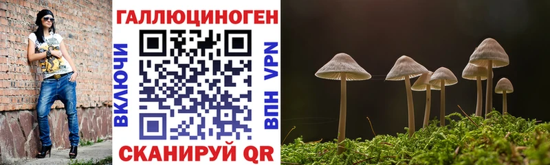 сколько стоит  Чулым  mega как зайти  Псилоцибиновые грибы Psilocybine cubensis 